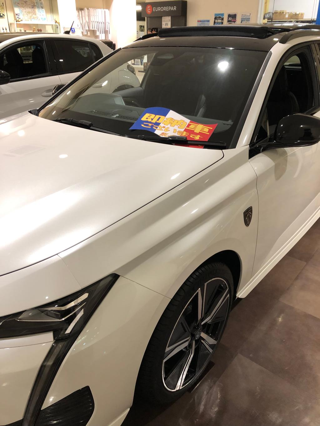 308SWパールホワイト（エクステリア）