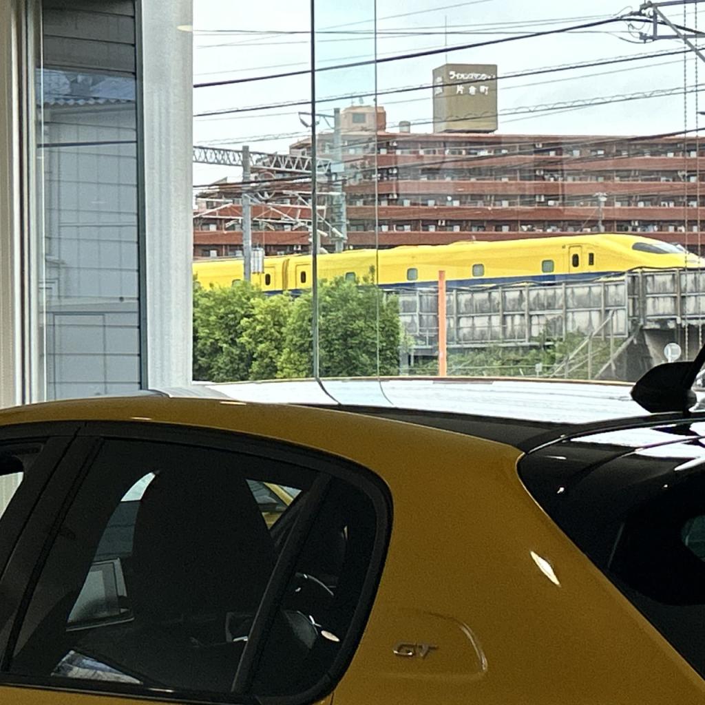 やっと撮れました！！