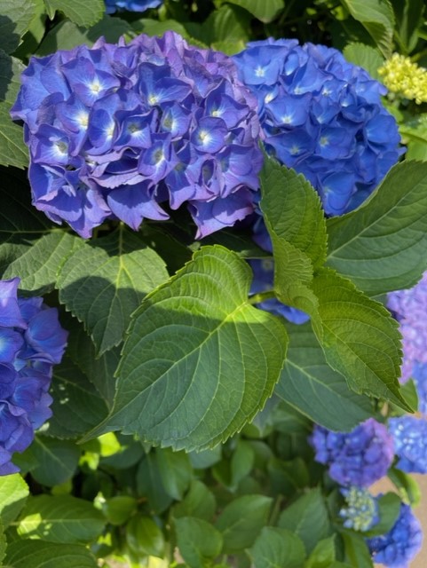 予防のために下廻りのおすすめ！