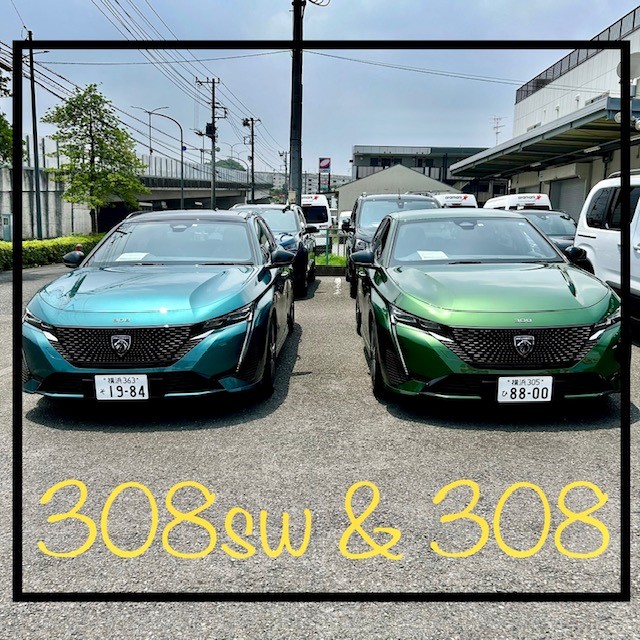 308 & 308SW