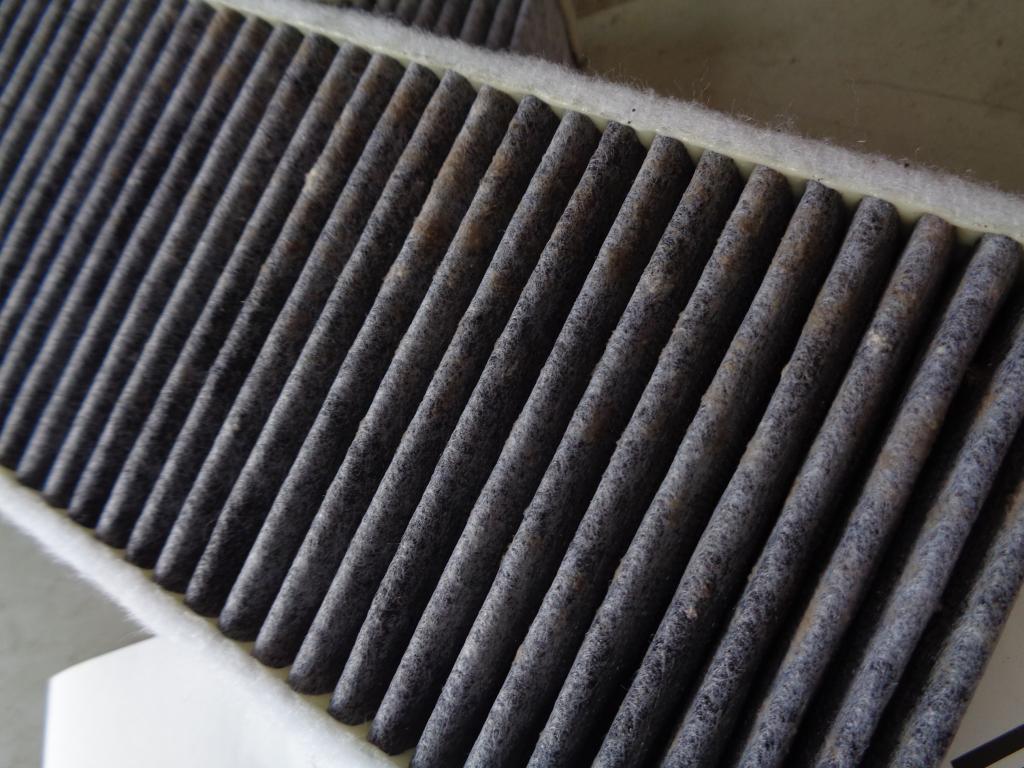 イヤなニオイの原因。