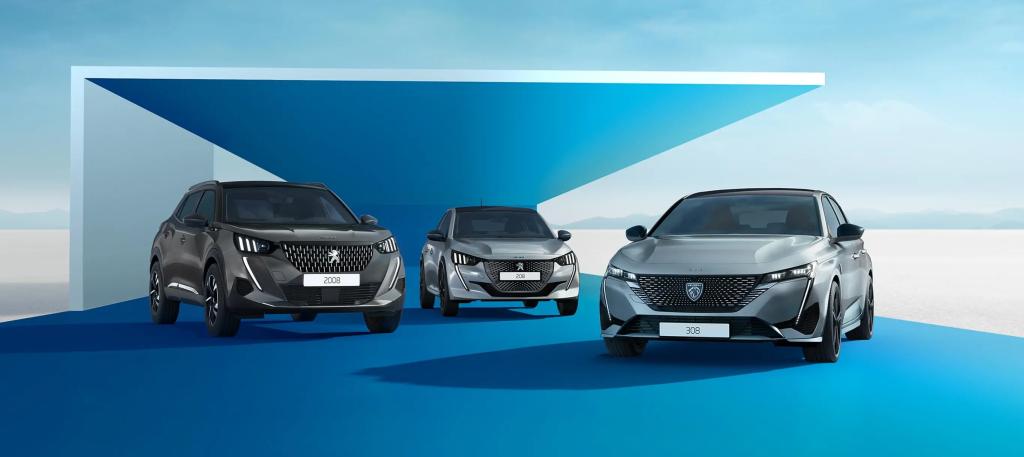 8月26日(土)・27日(日)はLION LIMITED FAIR !!