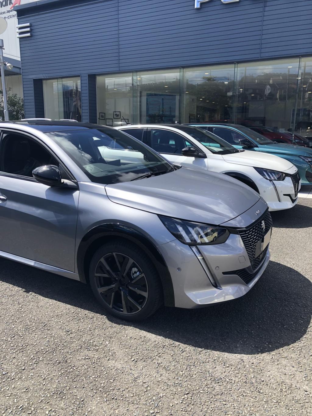 208GT限定車 (エクステリア)