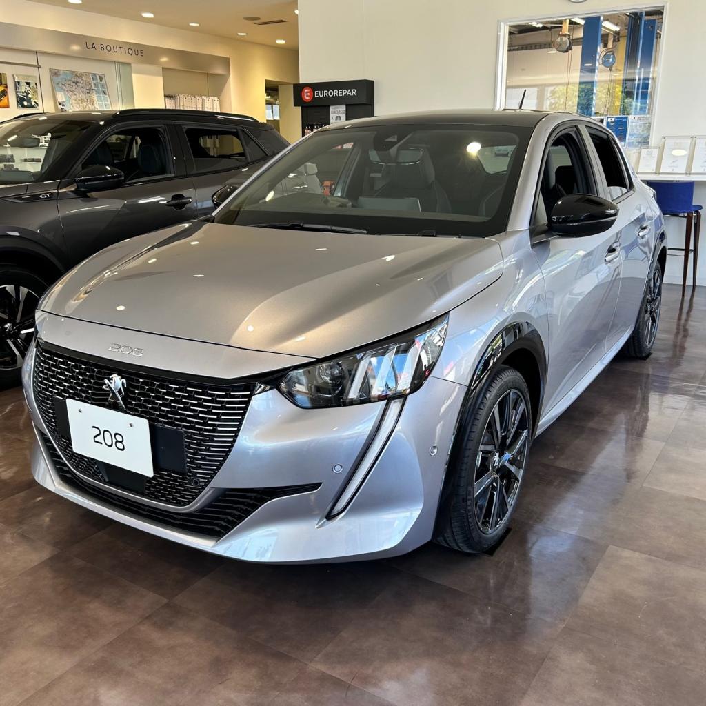 【本日まで】LION LIMITEDフェア開催中