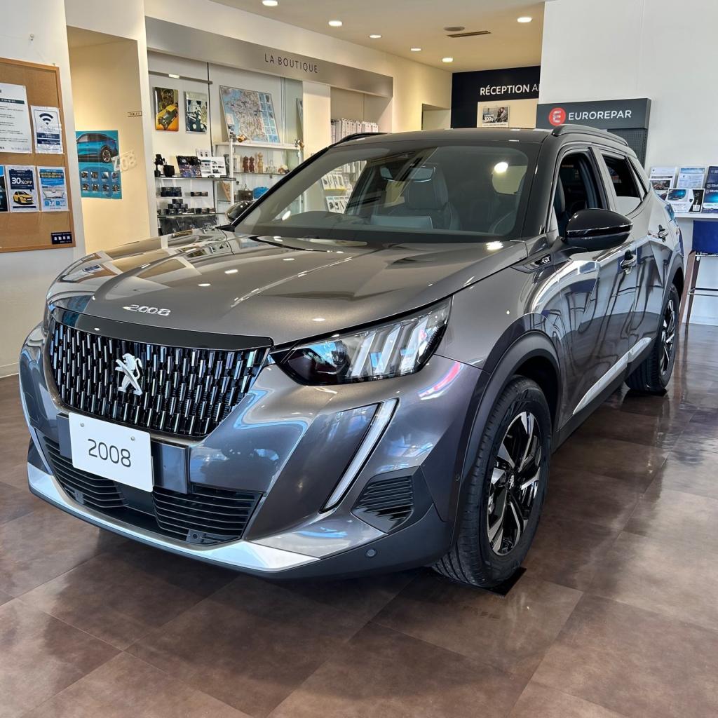 【本日まで】LION LIMITEDフェア開催中