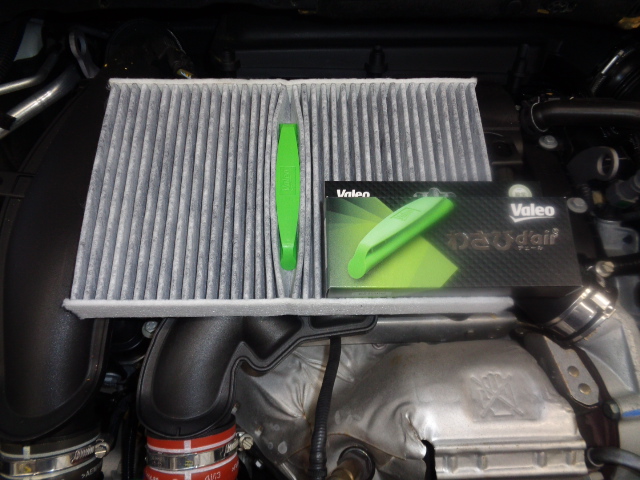 わさびデェール