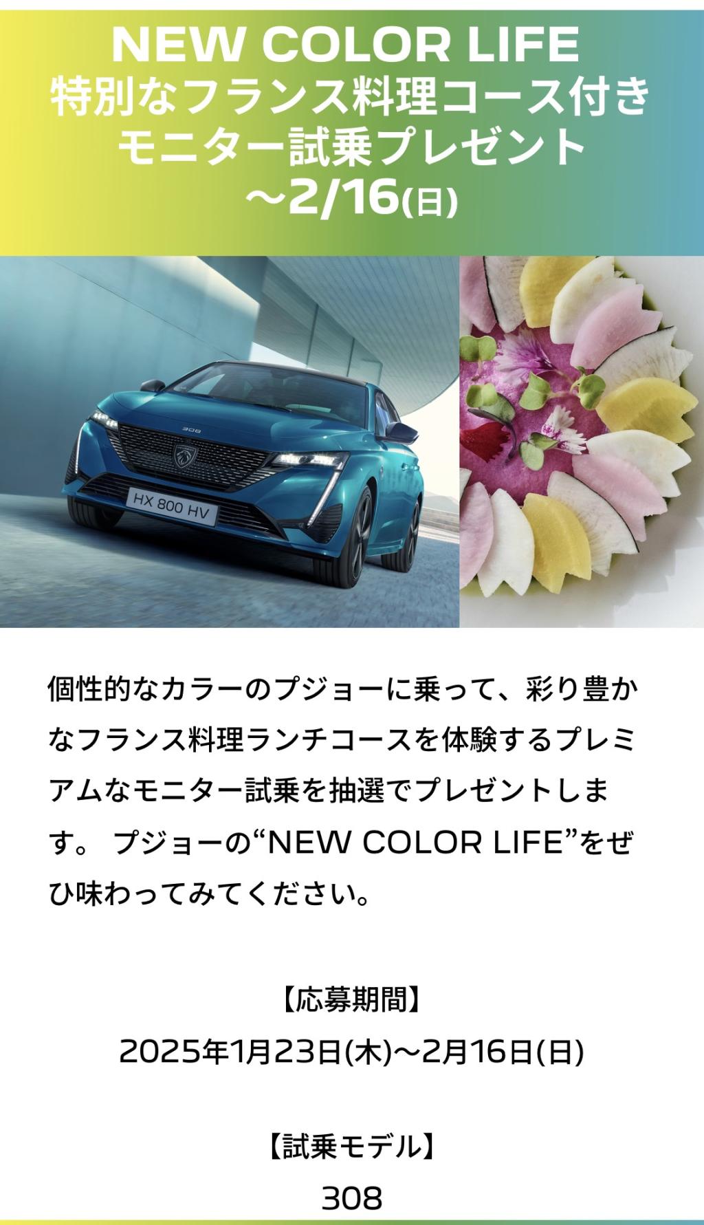 PEUGEOT NEW COLOR LIFEフェア（試乗感）