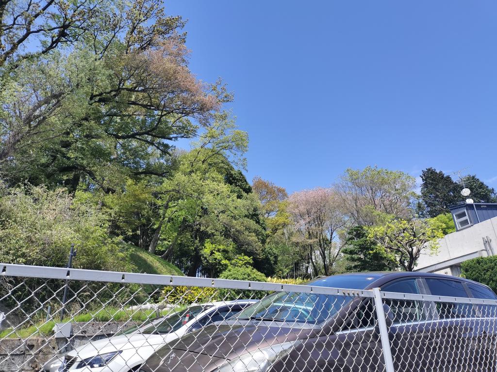 今朝の通勤途中で…