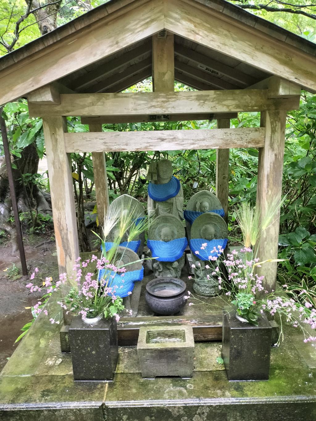 IMG20250603105114.jpg