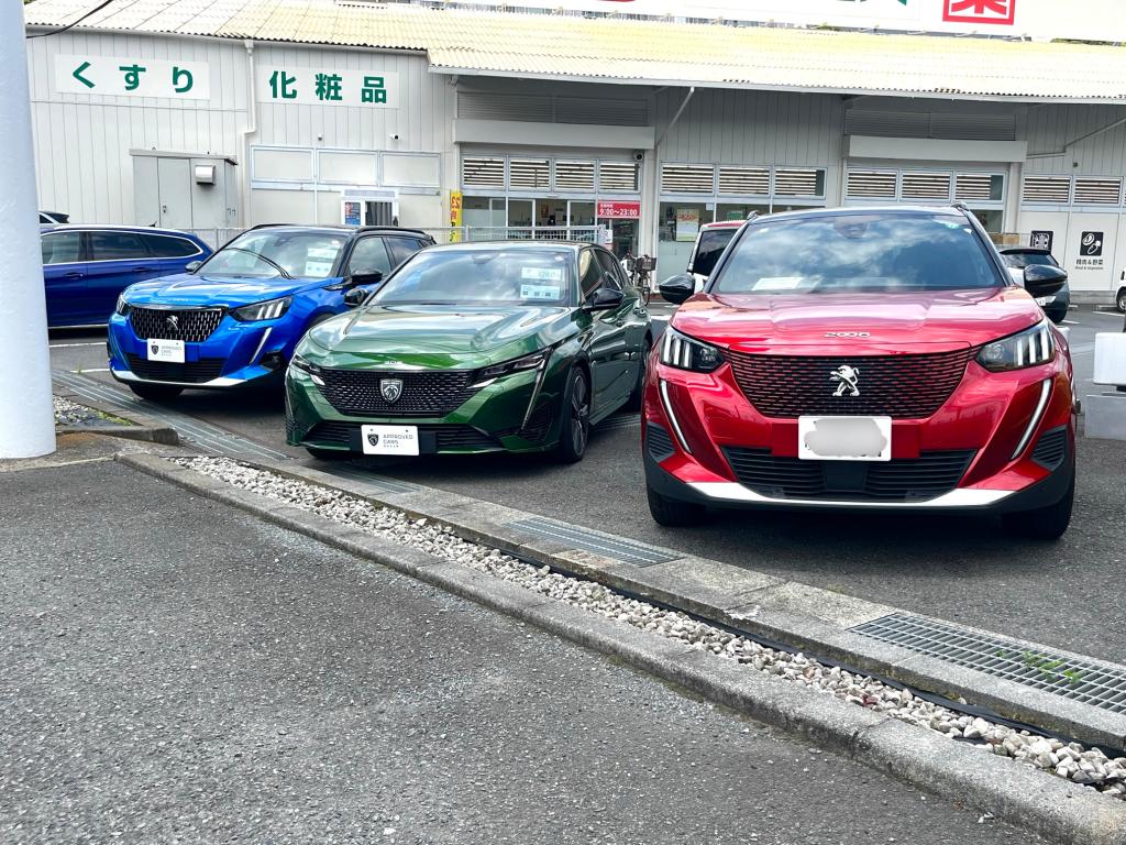 6月とは思えぬ暑さですね🥵