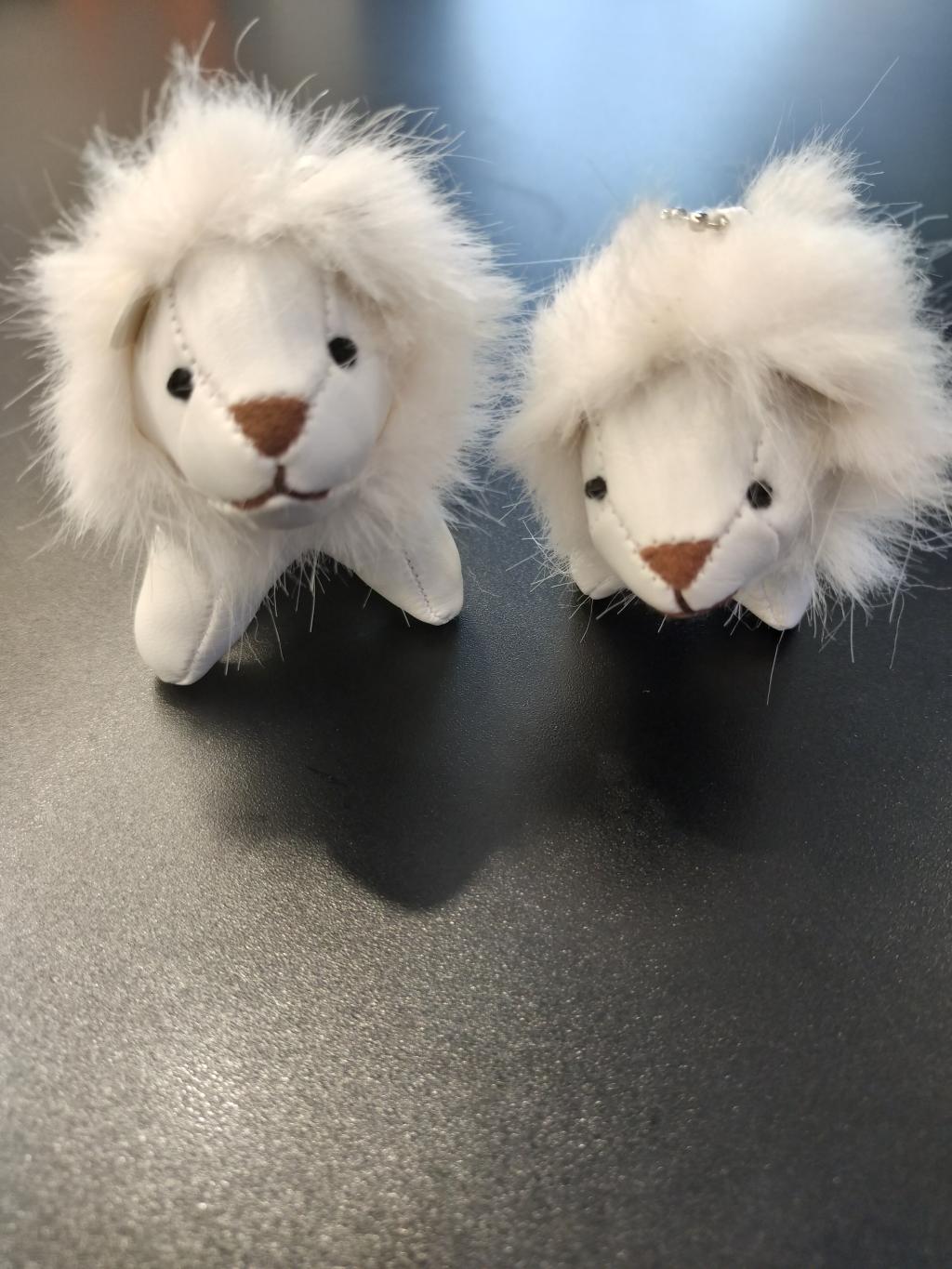 白ライオンのご紹介🦁✨