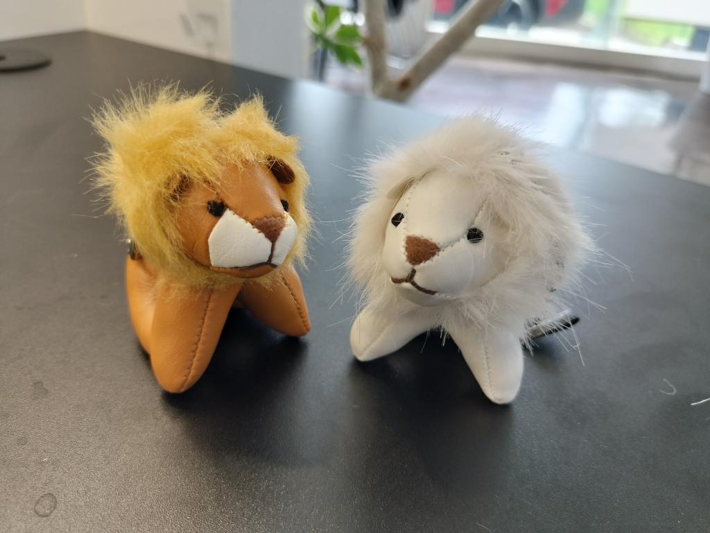 白ライオンのご紹介🦁✨