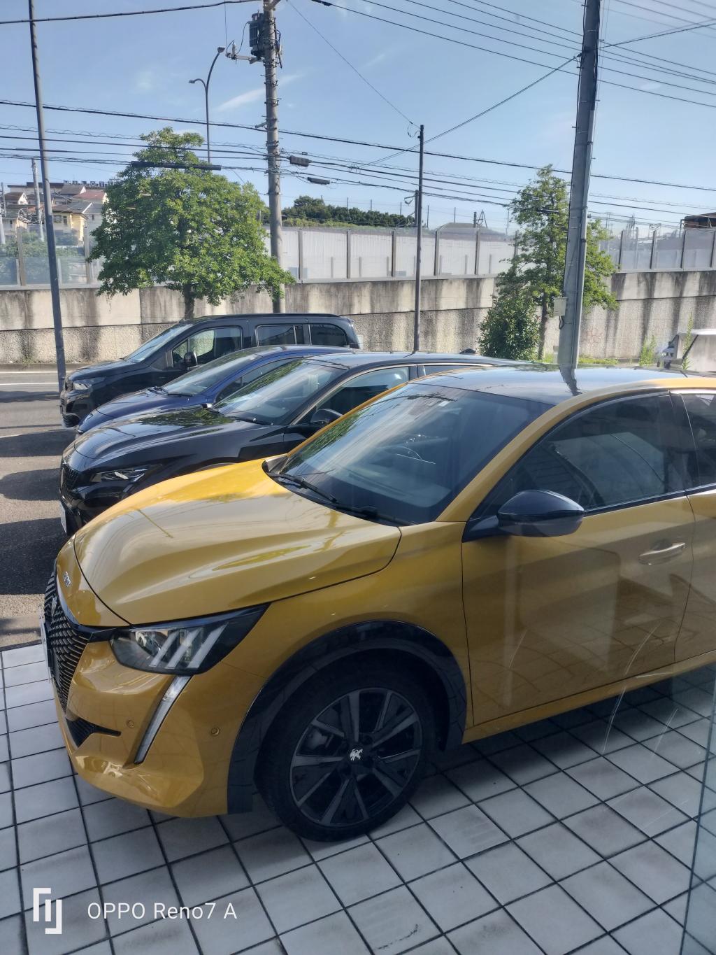 明日は通常通り営業いたします🤗