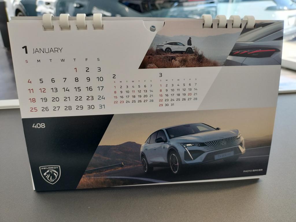 来年のカレンダーが入荷しました🦁✨