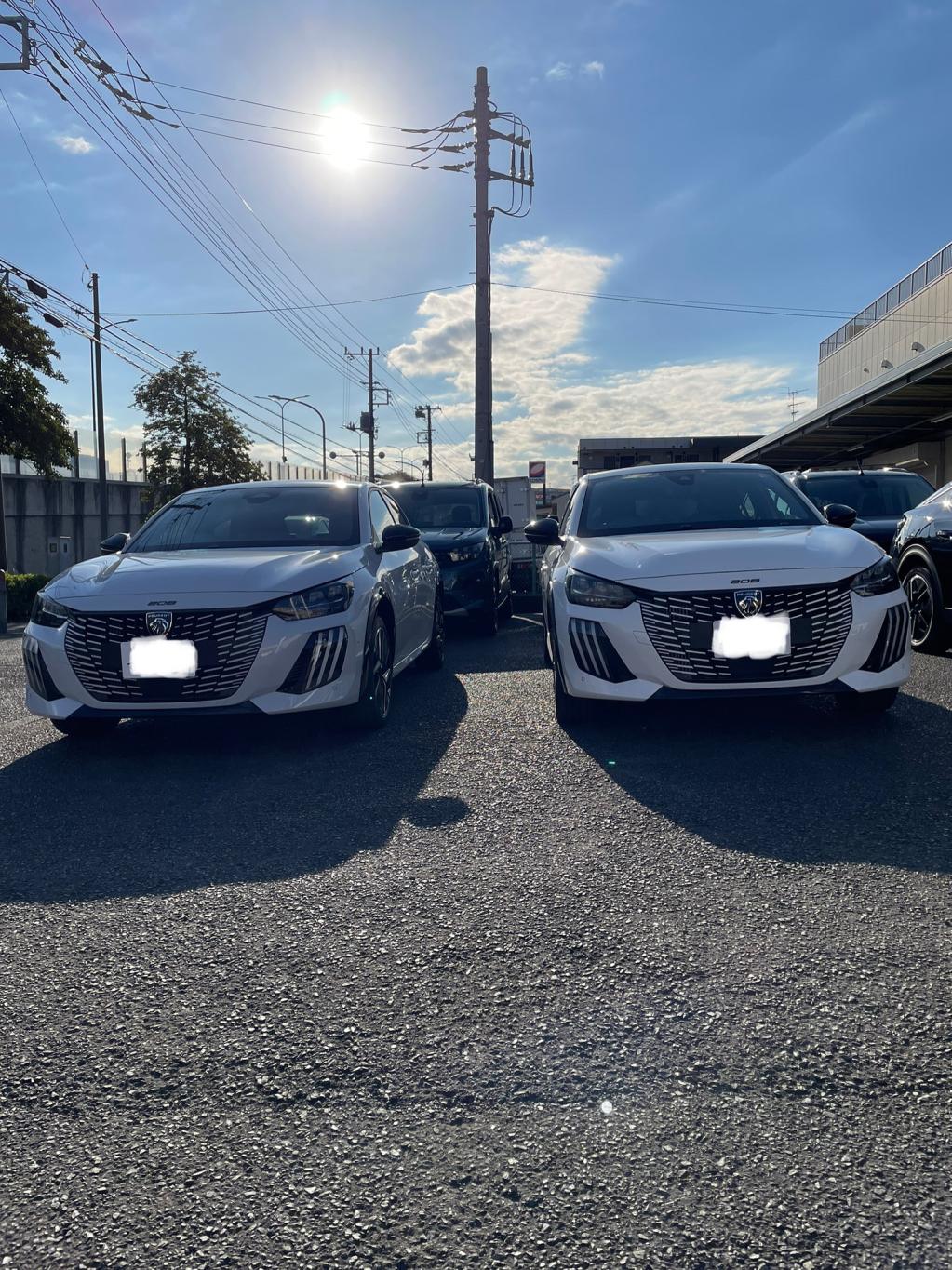 プジョー２０８ＦＬ（エクステリア）