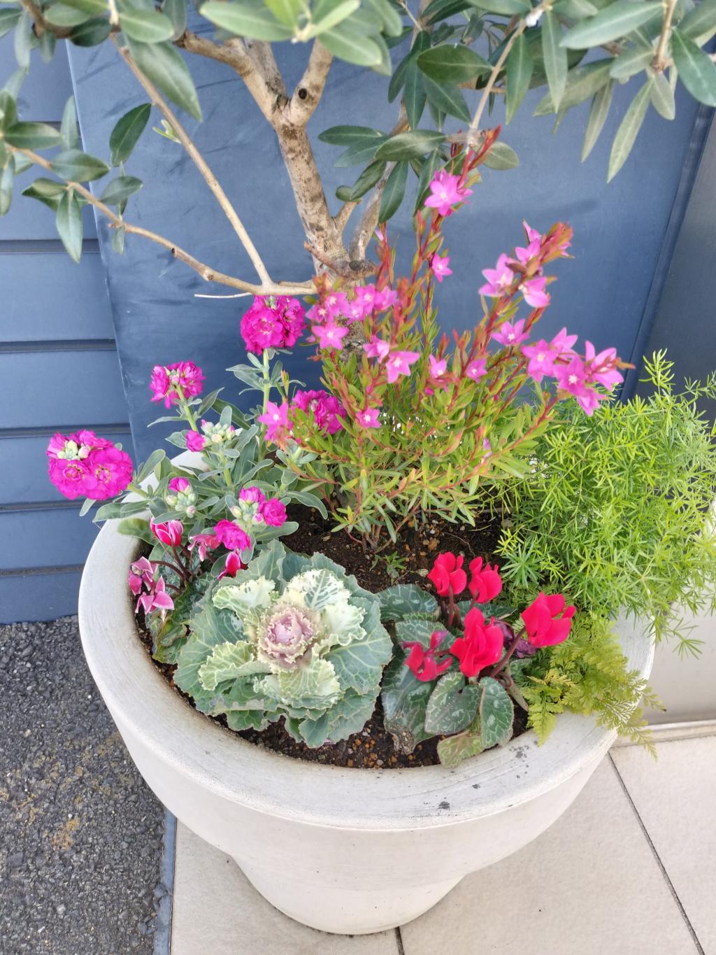 先週末はたくさんのお客様のご来店、 誠にありがとうございました🤗