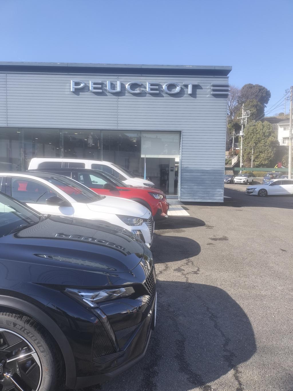 冬の朝はいつも・・・