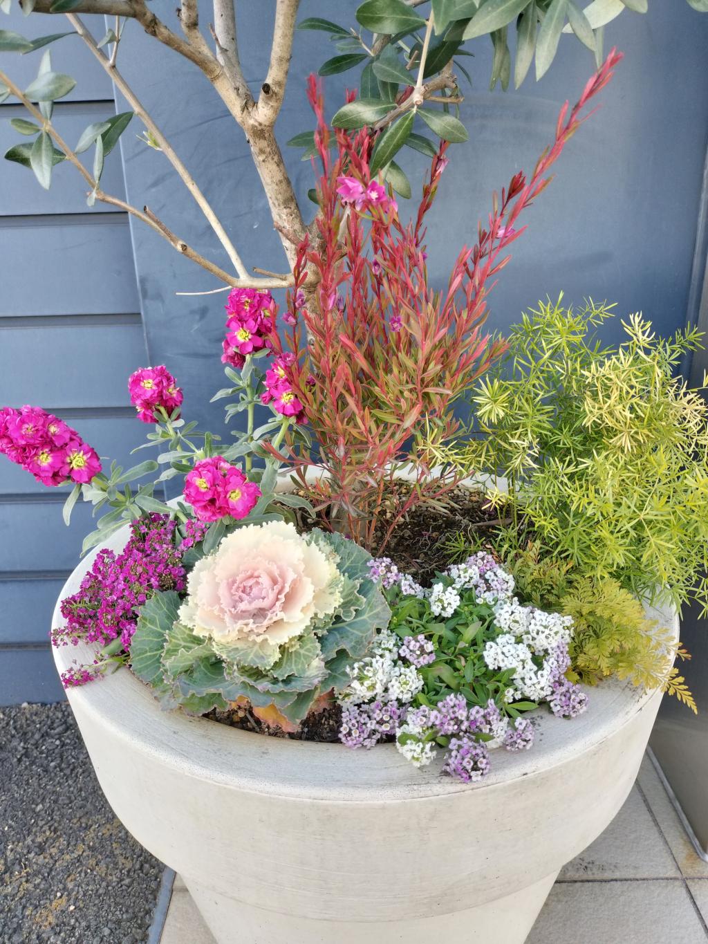 Ｏh‼今日がValentine’s Day🥲