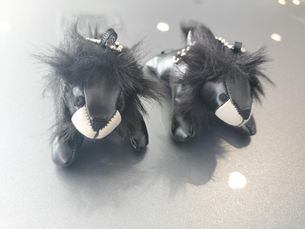 ブラックプチライオン初登場!!