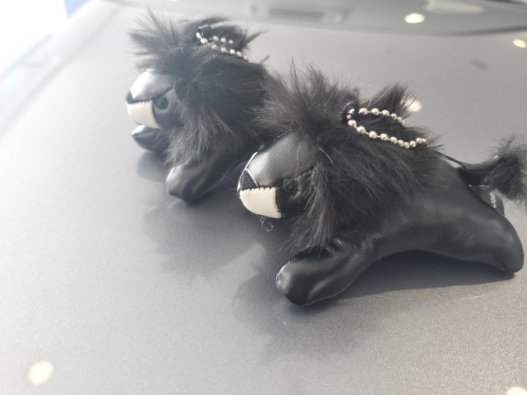 ブラックプチライオン初登場!!