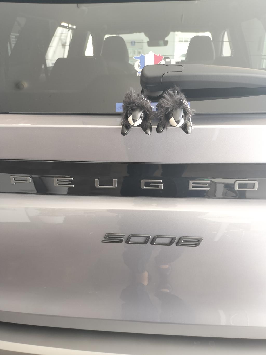 ブラックプチライオン初登場!!