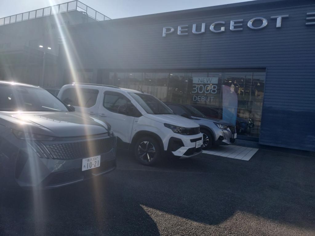 WBC白熱中⚾️🏏