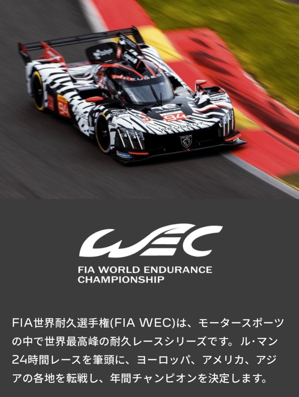 WECは今週末開催！！