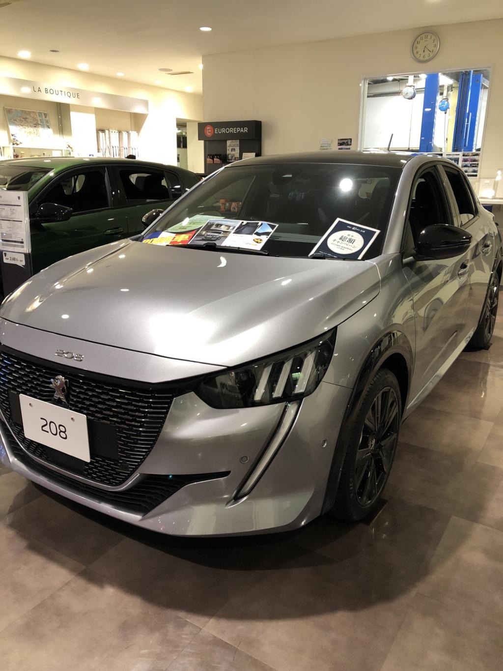 208GT特別仕様車 (エクステリア)