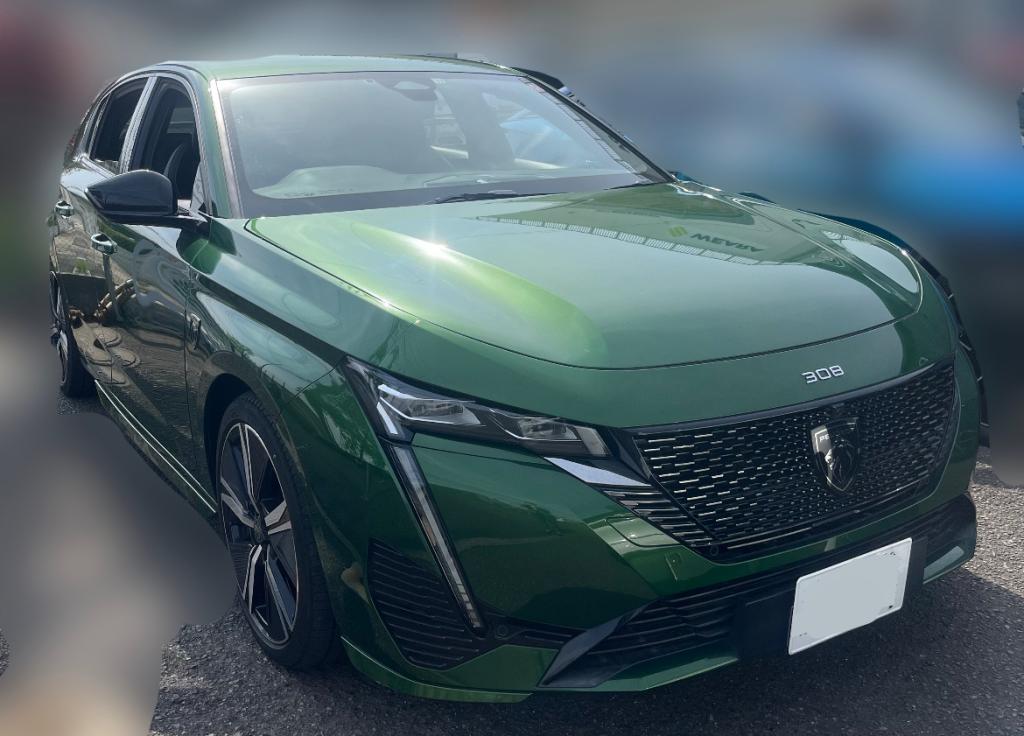 春を感じます🌸