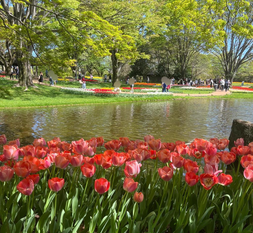 春を感じます🌸