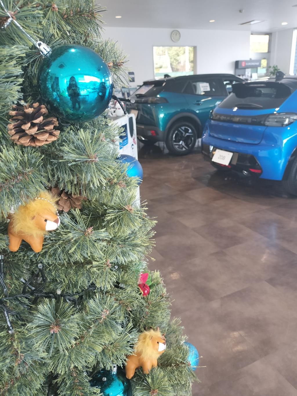 今週もよろしくお願いいたします♪