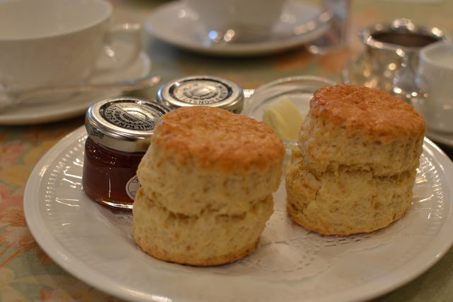 僕の友達の、、、