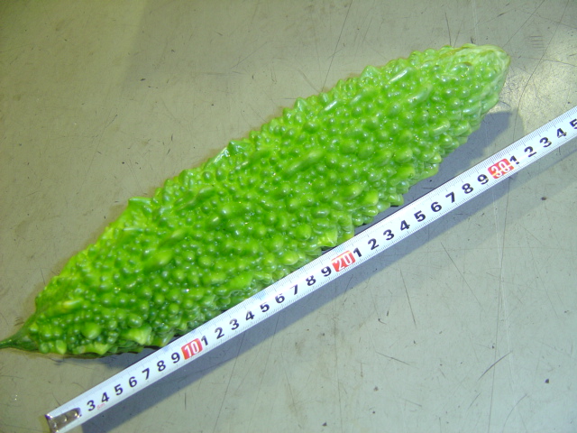 野菜通信その3？