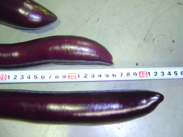 野菜通信その3？