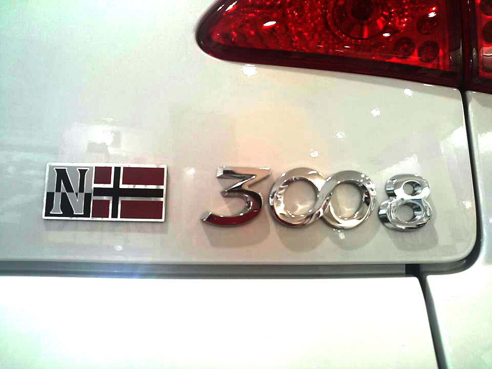 50台限定！3008 NAPAPIJRI