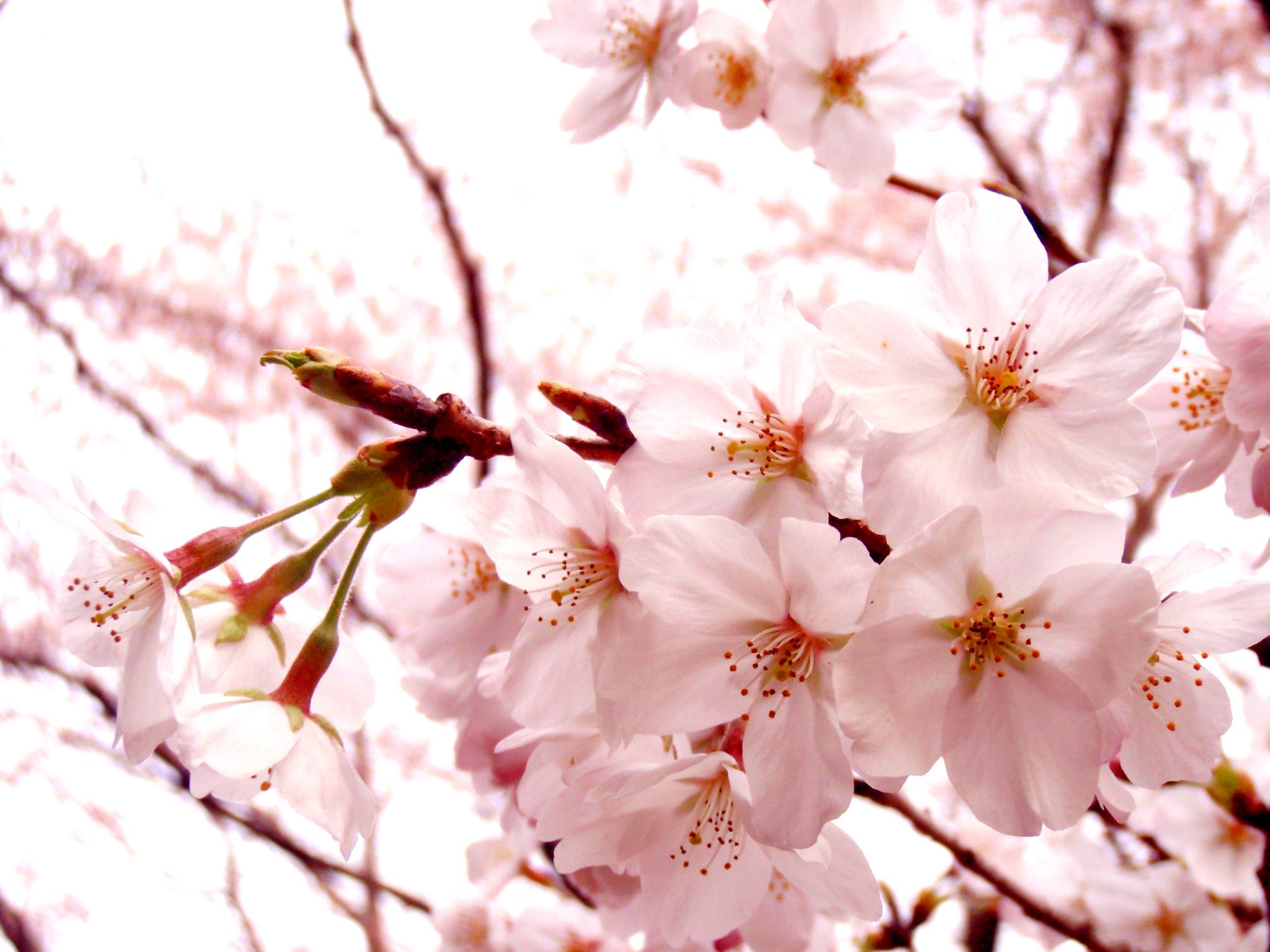 ３月３１日