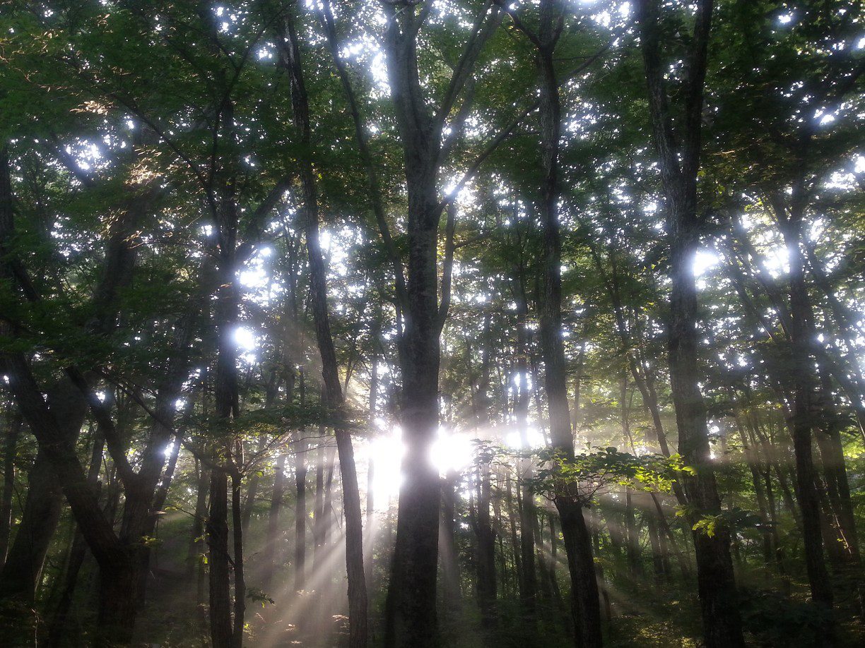 世界遺産