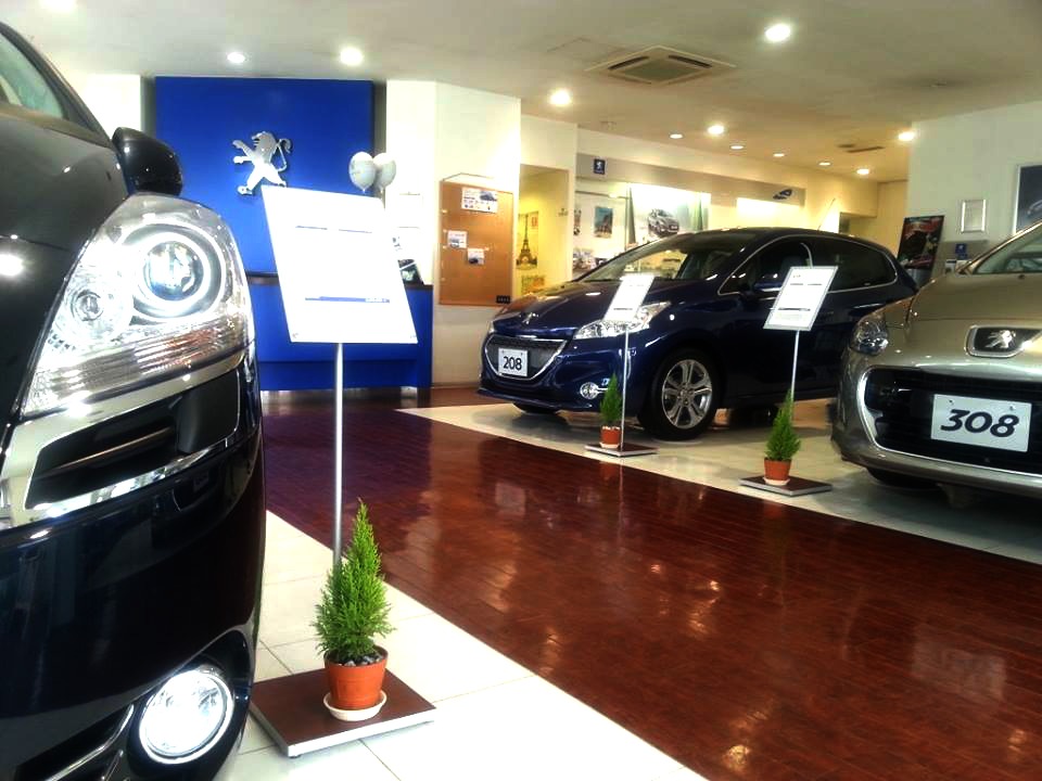 ミニーガーデン