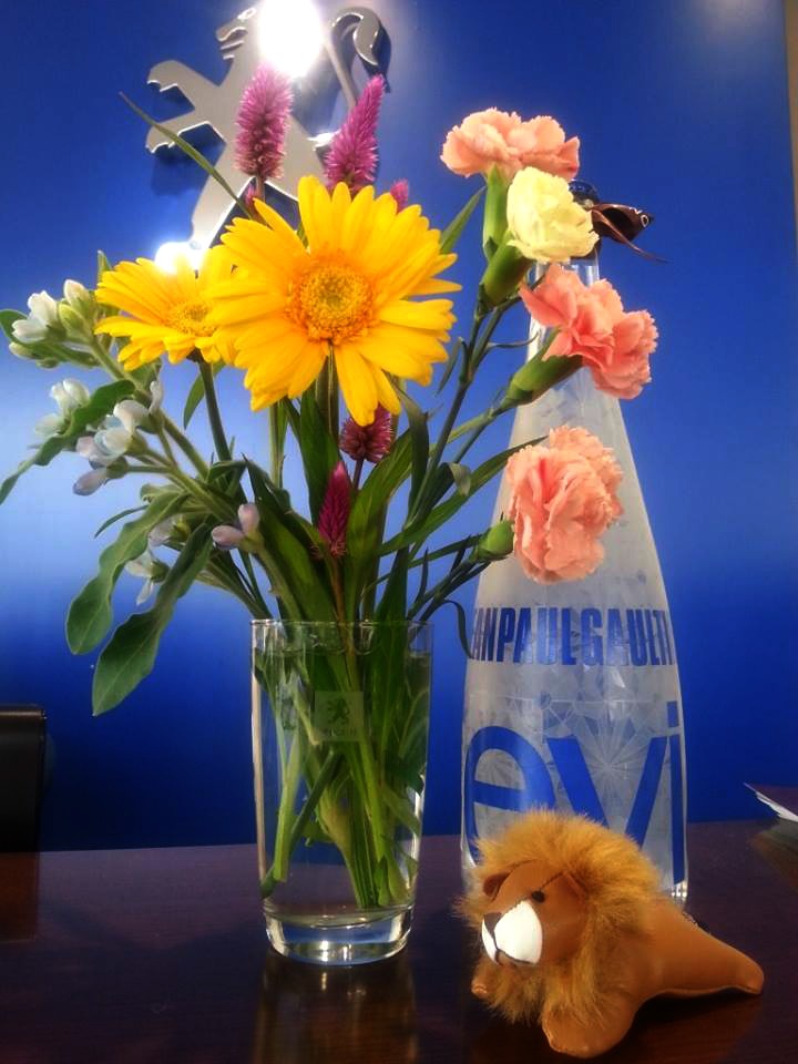 ミニーガーデン