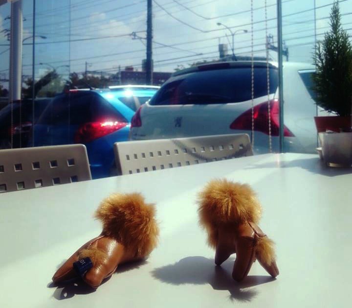 認定中古車だよ全員集合！