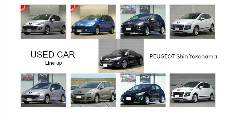 認定中古車だよ全員集合！