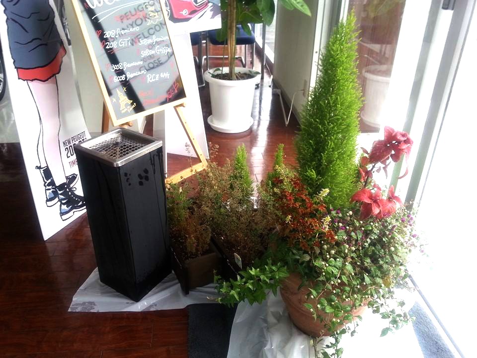 台風、大丈夫でしたか？