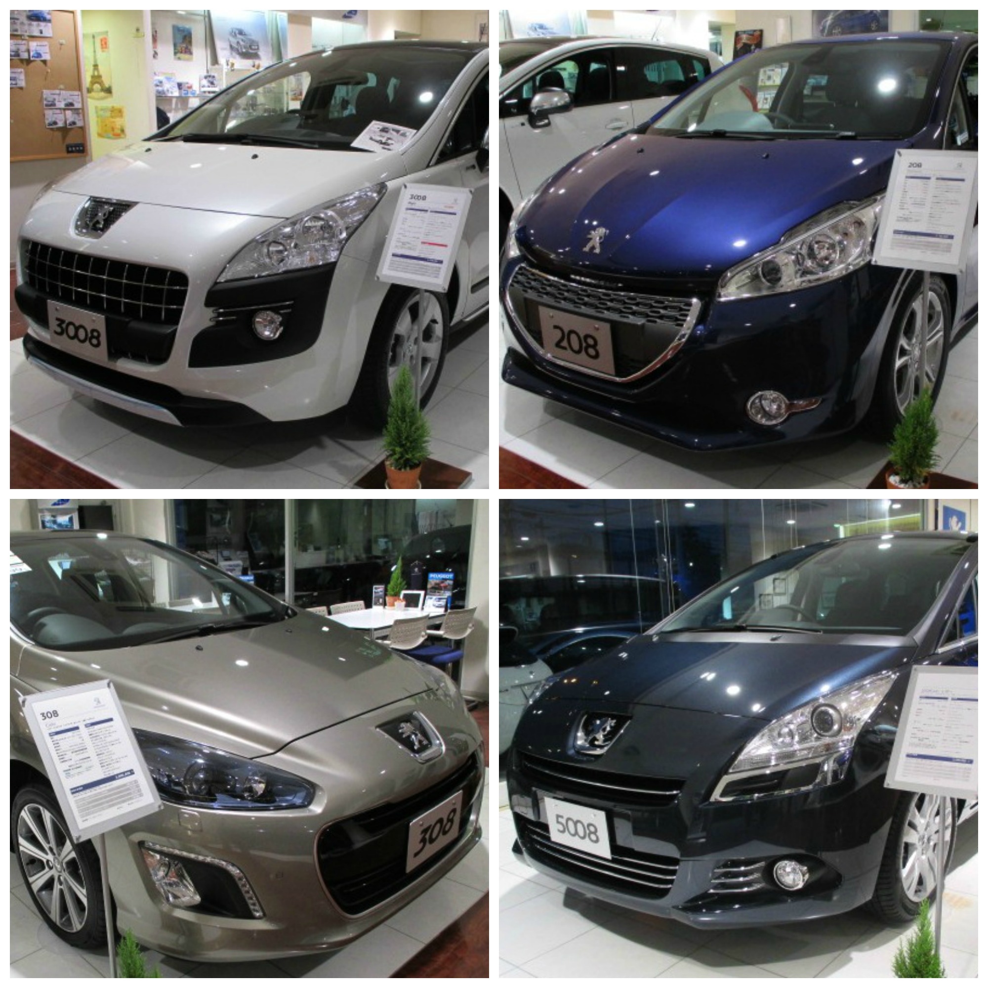 展示車ラインナップ