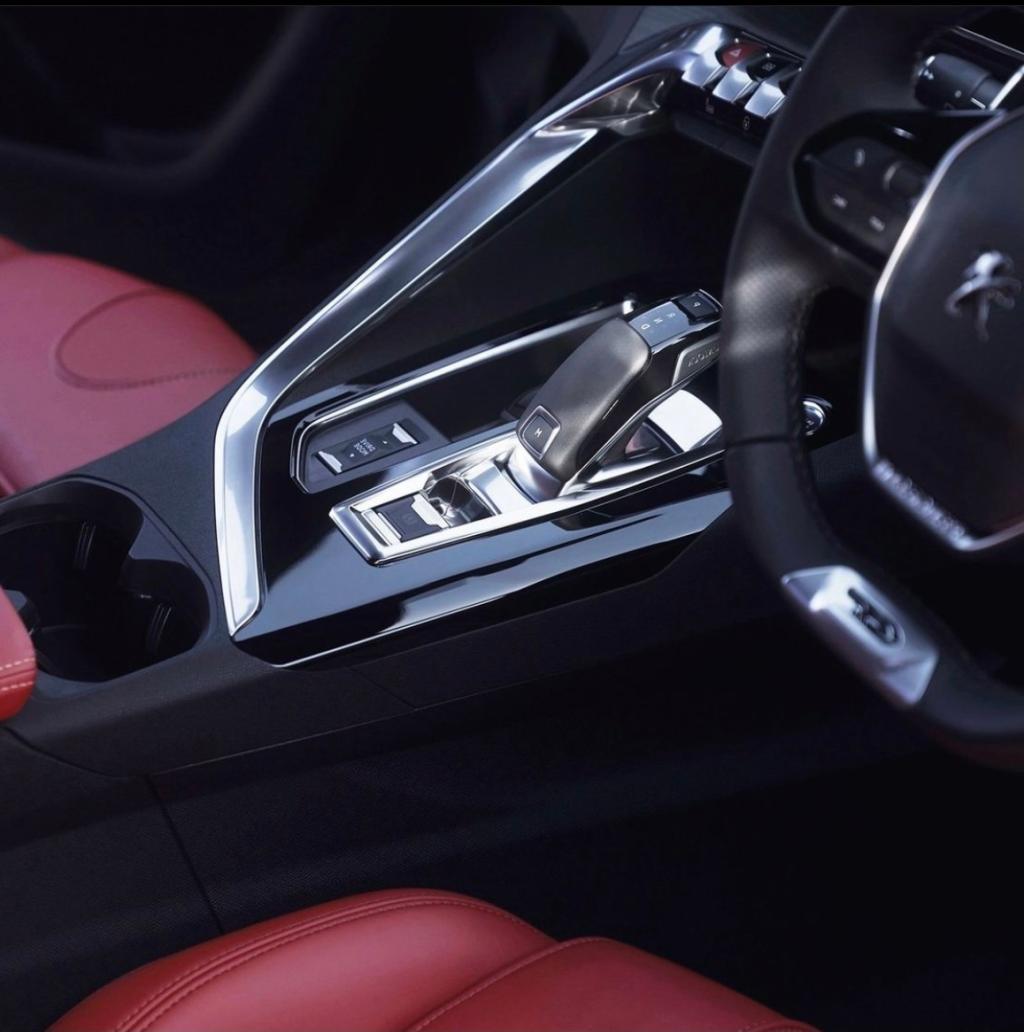 3008 Red Nappa (インテリア)