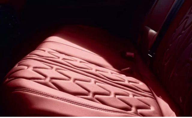 3008 Red Nappa (インテリア)