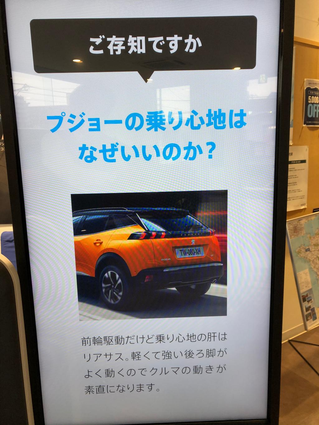猫足 (試乗感)