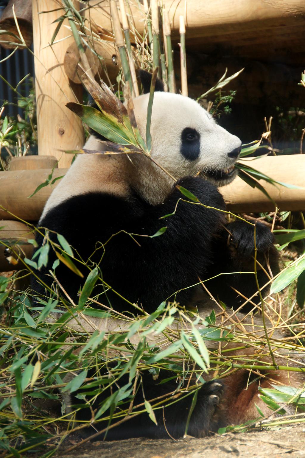 大好きな写真です！！