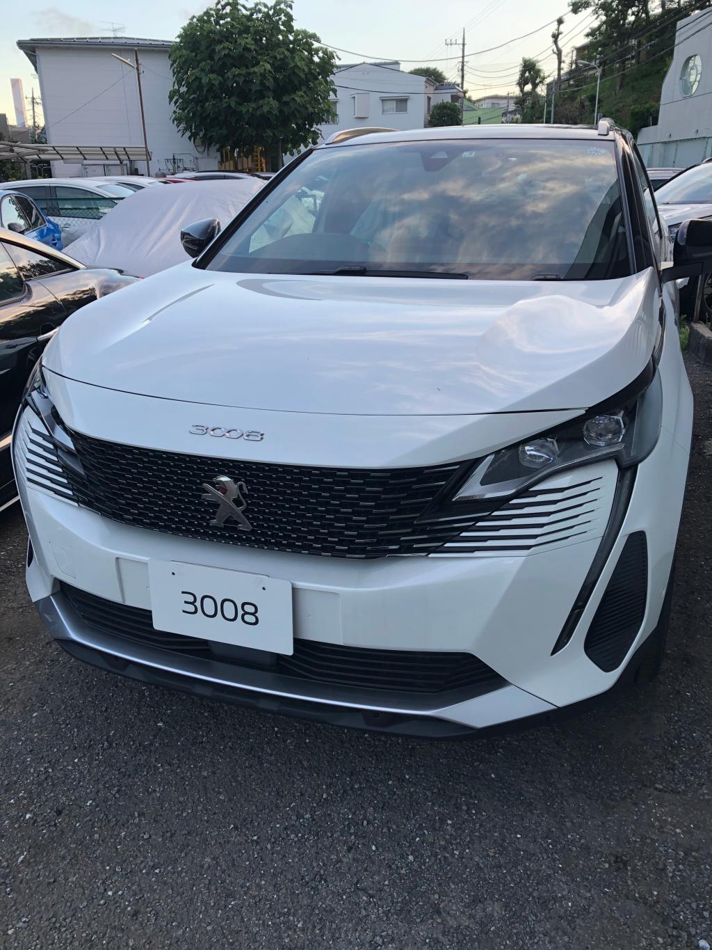 3008 (納車式)