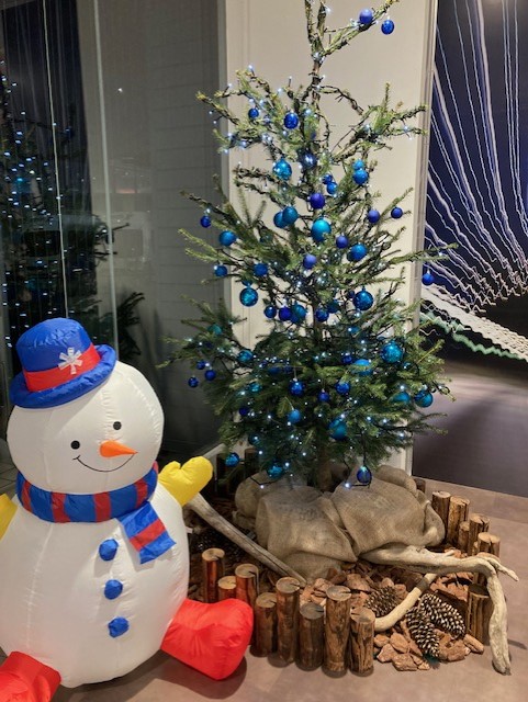 クリスマスツリー登場！！