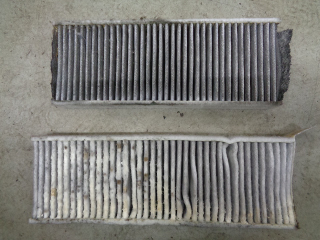 ようやく春らしくなってまいりました